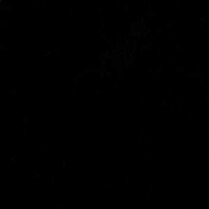 Meet your Posher, Dylan